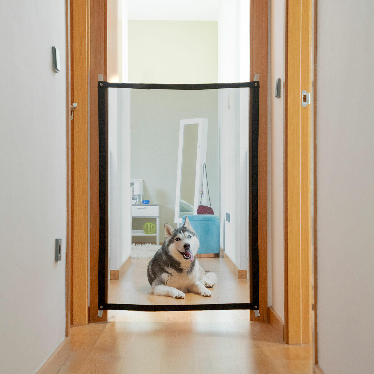 Barrera de seguridad para mascotas