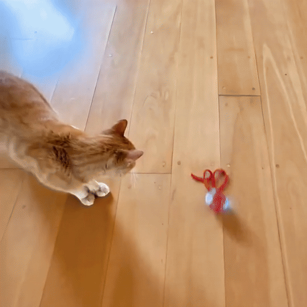 Pelota Mágica - Juguete Interactivo