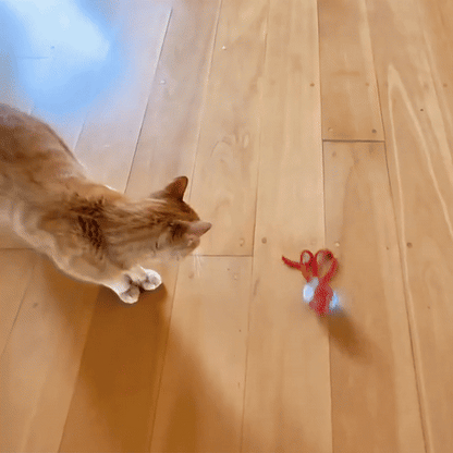 Pelota Mágica - Juguete Interactivo