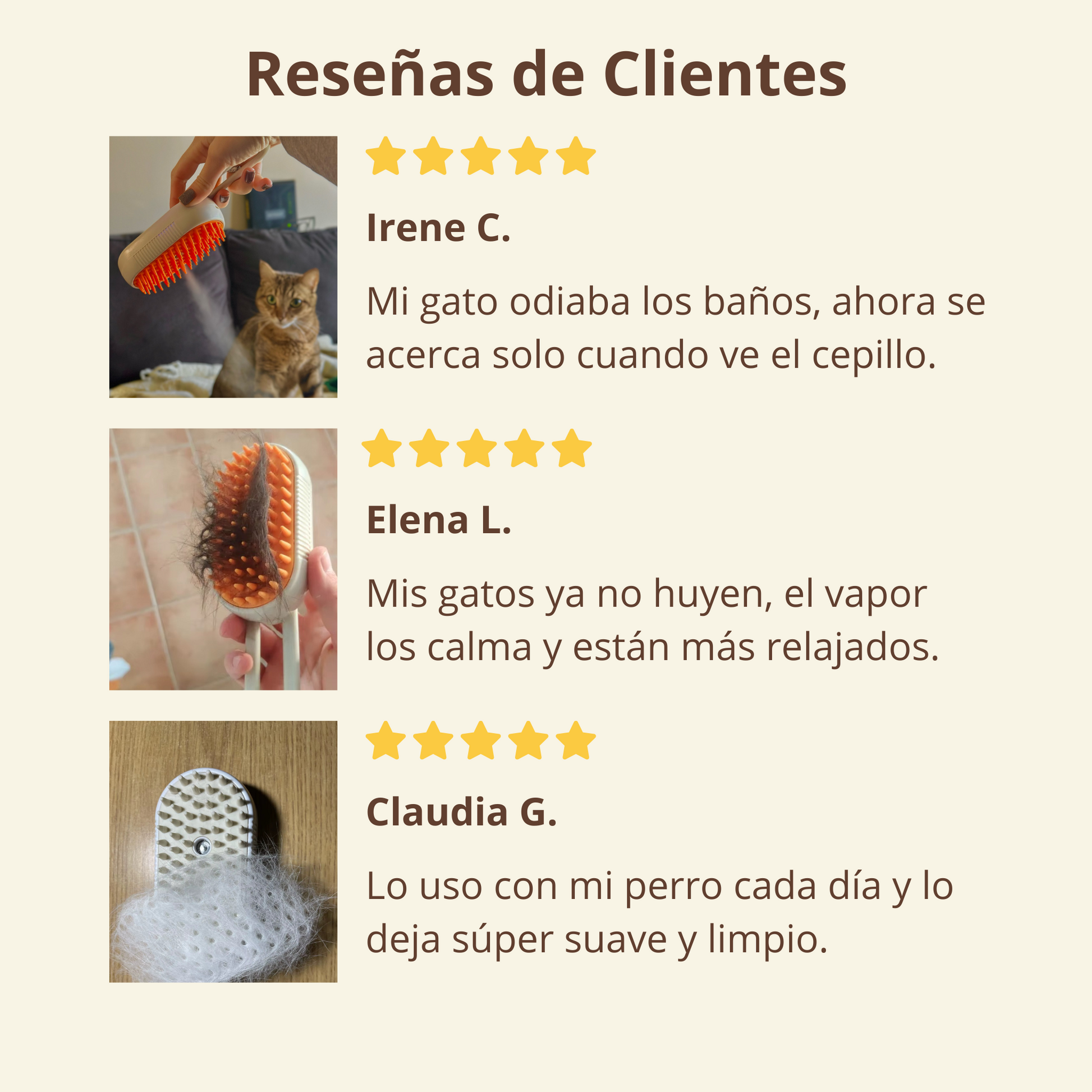 Cepillo de Vapor VaPet™ FORTENCEE