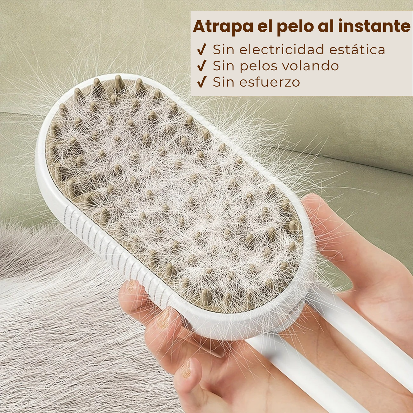 Pack: Cepillo de Vapor + Rodillo Reutilizable FORTENCEE