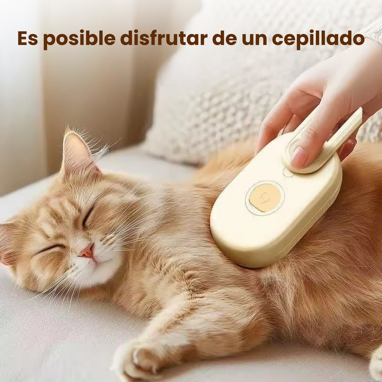 Pack: Cepillo de Vapor + Rodillo Reutilizable FORTENCEE
