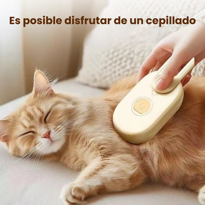 Pack: Cepillo de Vapor + Rodillo Reutilizable FORTENCEE