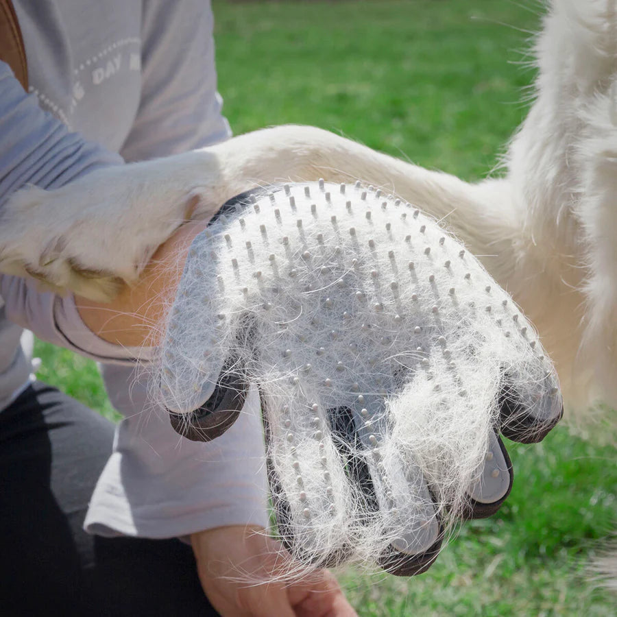 Guante para limpiar y masajear mascotas FORTENCEE