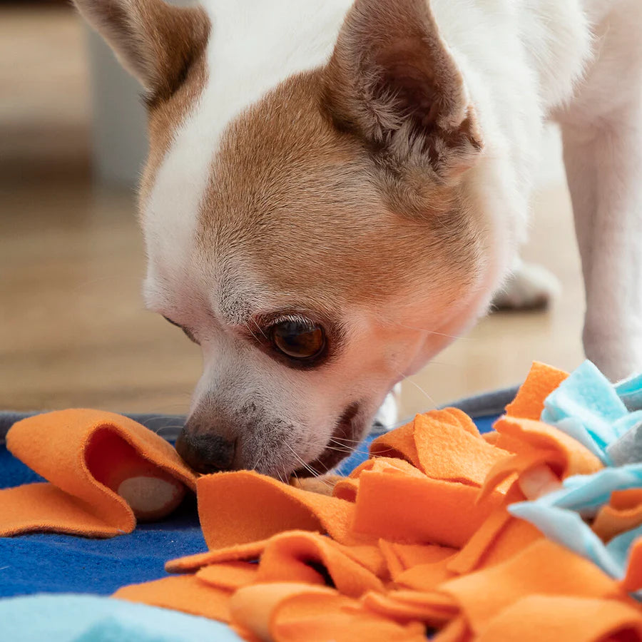Alfombra olfativa para mascotas FORTENCEE