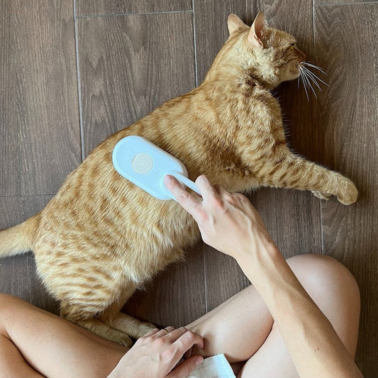 Cepillo de Vapor VaPet™ FORTENCEE