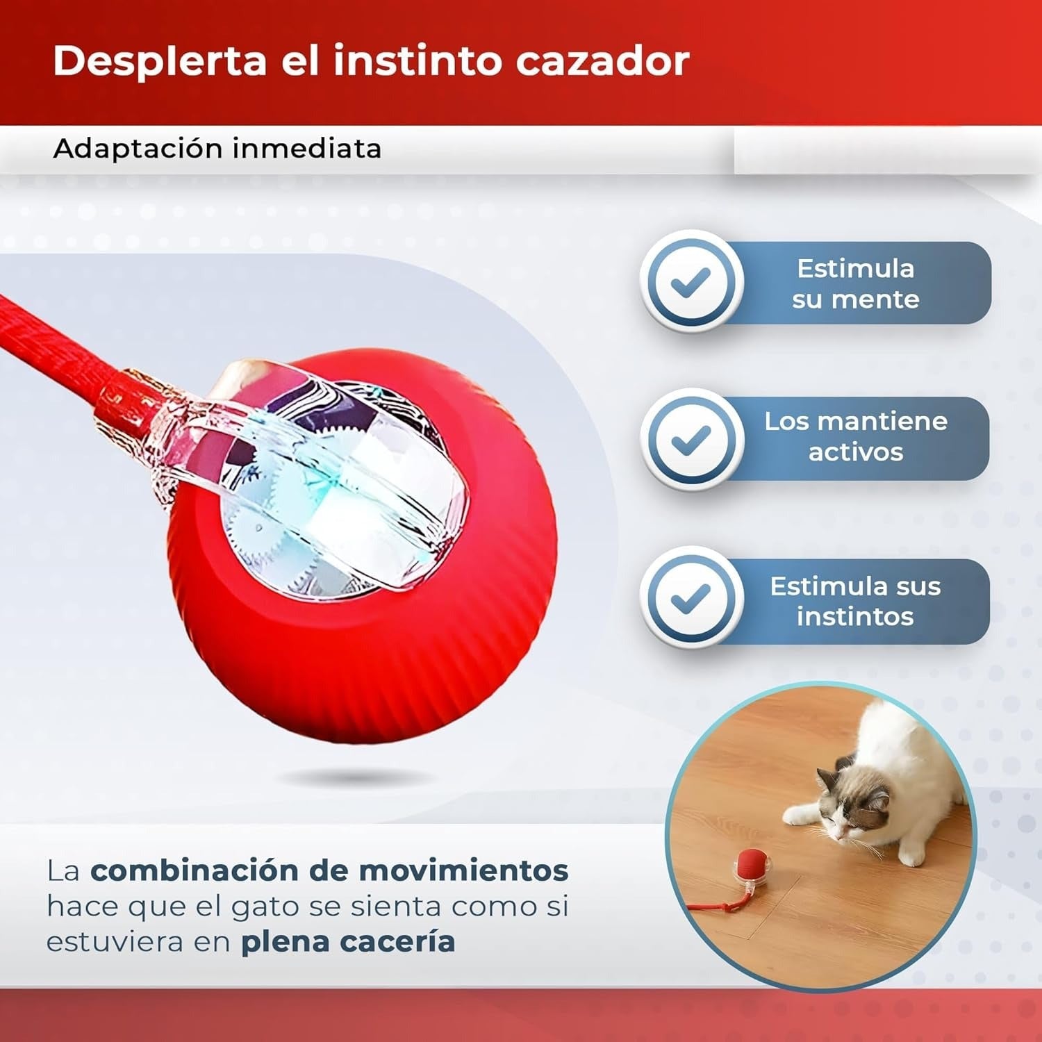 Pelota Mágica HUELLAZEN